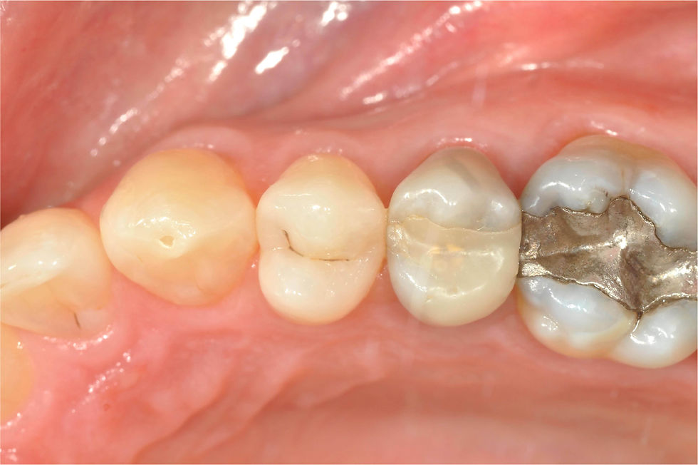 Image courtesy of: Dr. Giuseppe Pellitteri