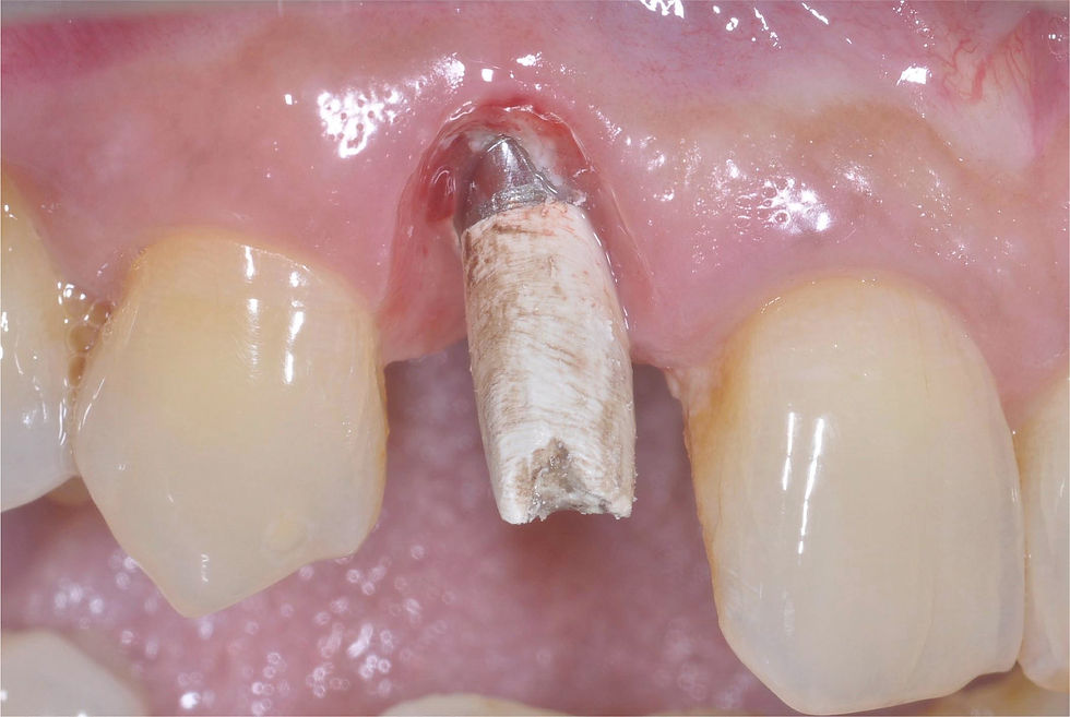 Image courtesy of: Dr. Giuseppe Pellitteri