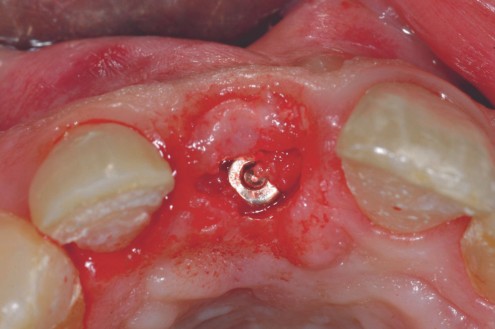 Image courtesy of: Dr. Roberto Luongo