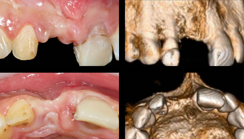 Image courtesy of: Dr. Andrea D. Di Domenico