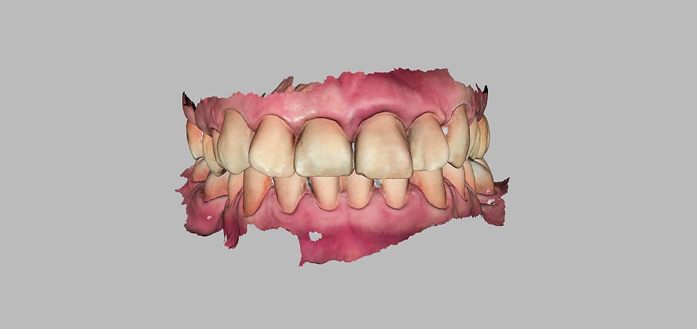 Image courtesy of: Dr. Paolo Nardinocchi