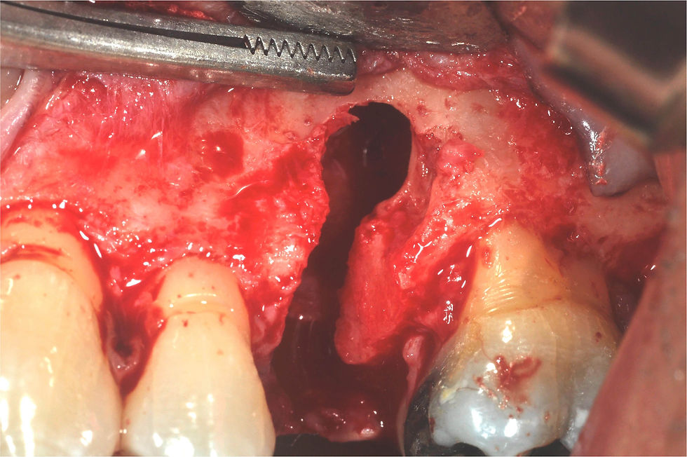 Image courtesy of: Dr. Giuseppe Pellitteri