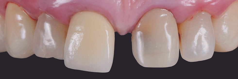 Image courtesy of: Dr. Stefano Conti