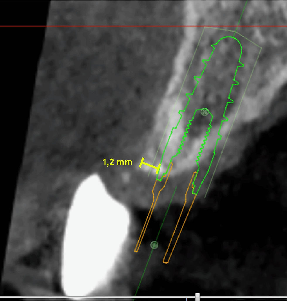 Image courtesy of: Dr. Andrea D. Di Domenico