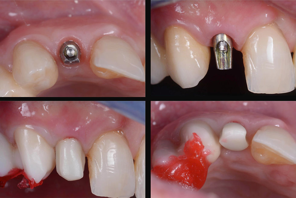 Image courtesy of: Dr. Giuseppe Pellitteri