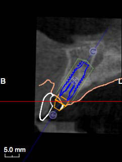 Image courtesy of: Prof. Berta GarcÃa Mira