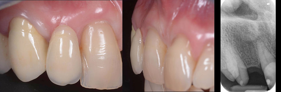 Image courtesy of: Dr. Giuseppe Pellitteri