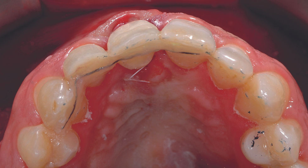 Image courtesy of: Dr. Roberto Luongo