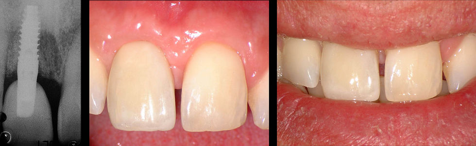 Image courtesy of: Dr. Fabio Gorni.