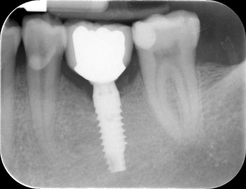 Image courtesy of: Dr. Paolo Nardinocchi