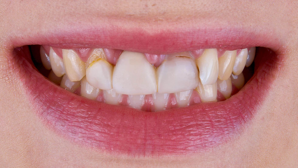 Image courtesy of: Dr. Andrea D. Di Domenico