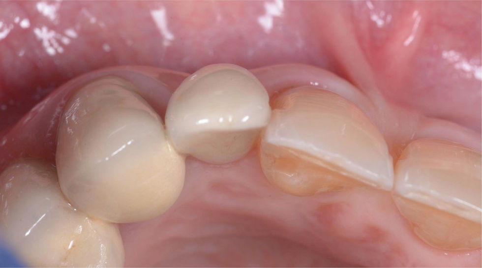 Image courtesy of: Dr. Giuseppe Pellitteri