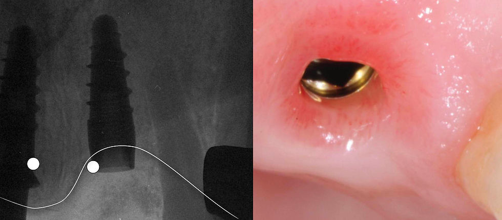 Image courtesy of: Dr. Stefano Conti