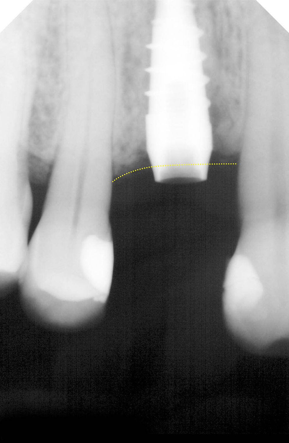 Image courtesy of: Dr. Andrea D. Di Domenico