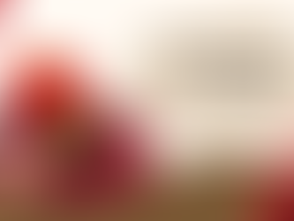 Prolonging the Freshness: Natural Preservation of Pomegranate Arils with Miracle Everyday L44-F