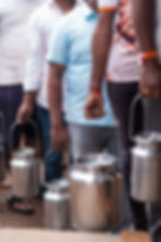 krushna dudh collection