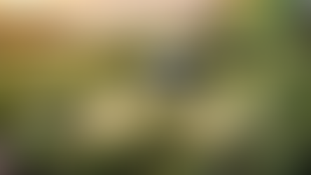 Precision Spraying with Chatak Drones: Reducing Chemical Use and Improving Crop Health