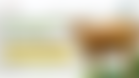 The Science Behind A2 vs A1 Milk: Why We Choose Desi Cows