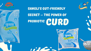 Sangli’s Gut‑Friendly Secret – The Power of Probiotic Curd