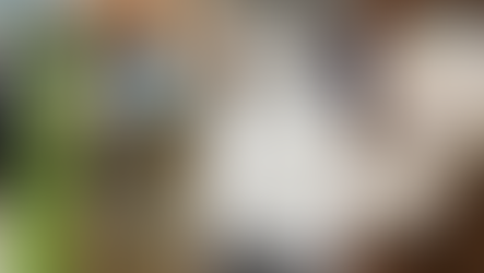 From Cattle‑Feed to Curd: Understanding Our 20+ Quality Checks