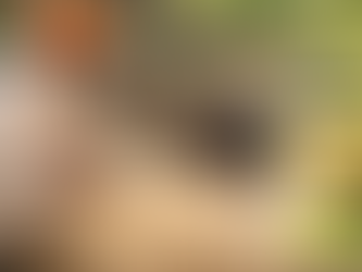 Raising Healthy Calves: The Importance of Milk Replacer in Early Growth