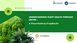 Understanding Plant Health Through Leaves: A Visual Guide by CropBioLife