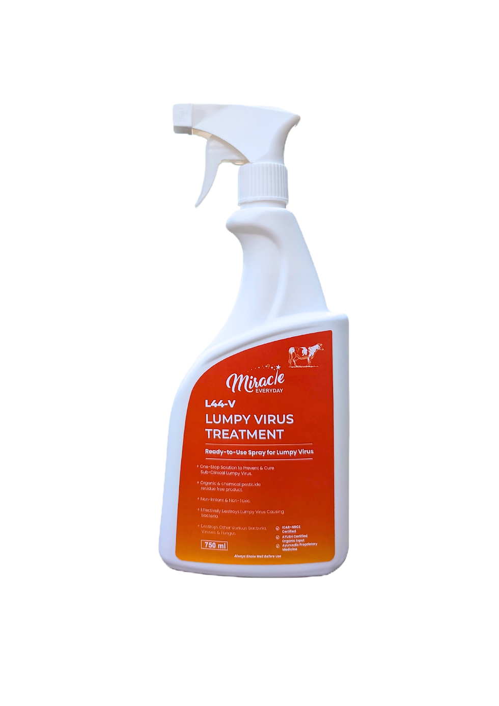 Untitled design (9) (1)_edited.png