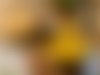 A Spoonful of Goodness: How Pure Ghee Enhances Everyday Cooking