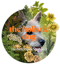 the holistig dog_transp.png