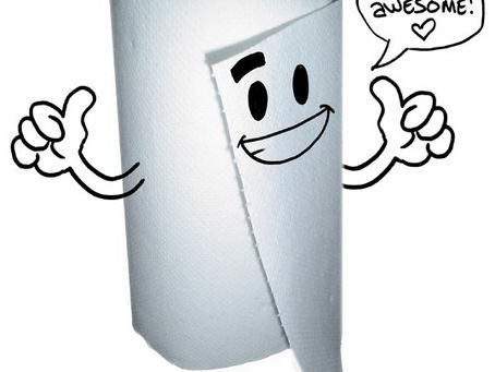 * I Have Paper Towels