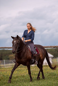 Menorquinstute im Schulterherein mit Reiterin Julia Häge, Klassisch Reiten, Vertikal Reiten
