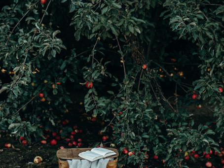Reaping the Harvest of the Heart