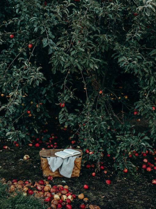 March 10th-12th, 2023- Disseminating Phase in Scorpio