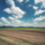 land with scenic blue sky.jpg