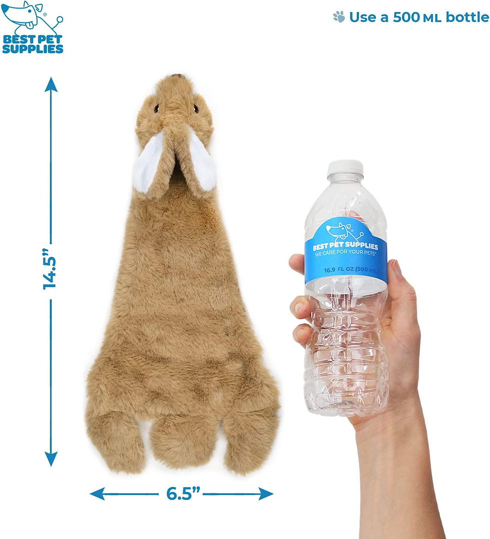 Thumbnail: Bunny Chew Toy
