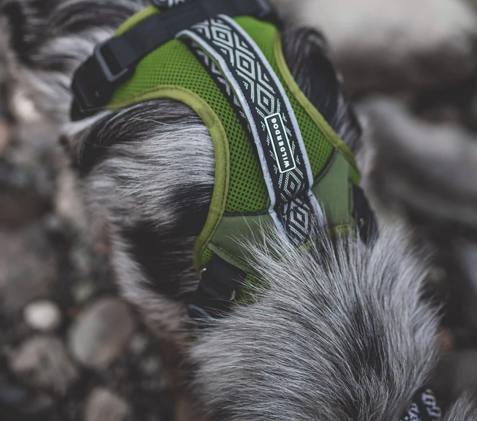 Thumbnail: Wilderdog Harness