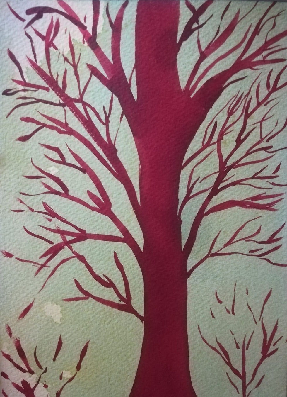 Exposição de Pintura em Aguarela - Natureza Orgânica