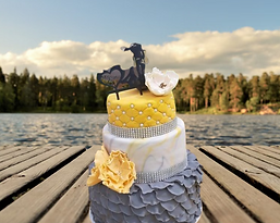 cake5.png