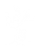Logo Noir blanc_trans.png