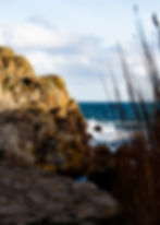 A photograph of some rocks stacked on the left with a dark blue ocean in the middle, with a cloudy white sky at the top and long brown leaves on the right coming from the bottom towards the top. There is a brown stone path at the bottom, the same colour as the rocks on the left.