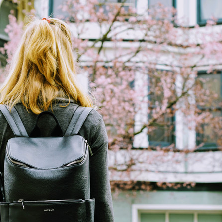 HOW TO STUDY ABROAD- In Your Budget