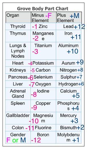 GroveBody Part Chart