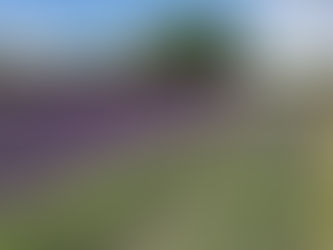 mogulgrove mp3 published by GroveCanada