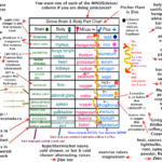Anticancer chart by Sari Grove