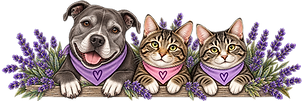 the 3 girls.png