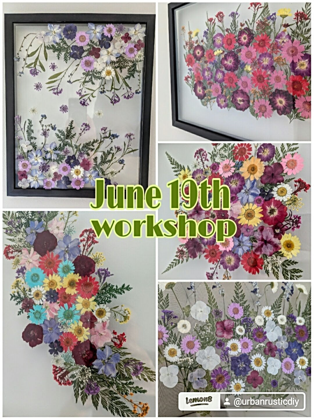 June 19th , 2026 600pm-730pm Framed Pressed Flower Art