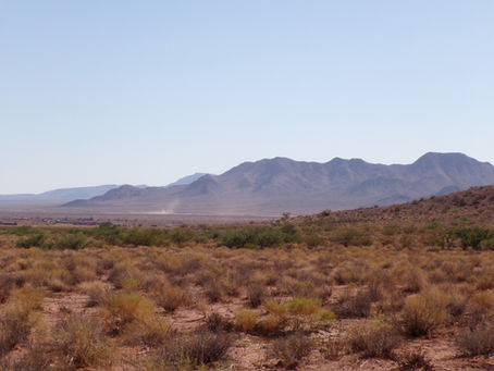 Why Now is the Perfect Time for You to Invest in Land