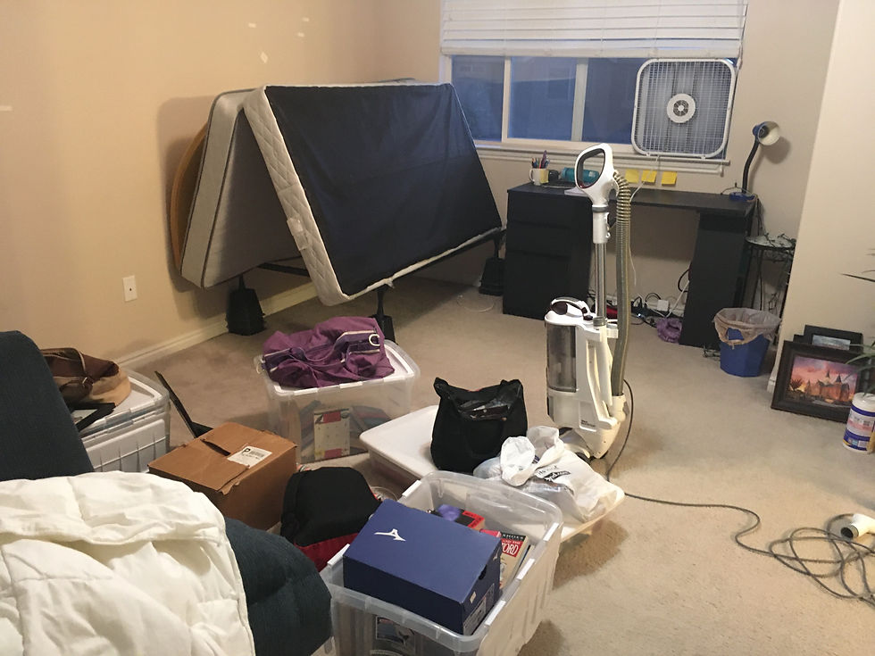 bedbug treament