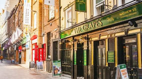 The Grapes