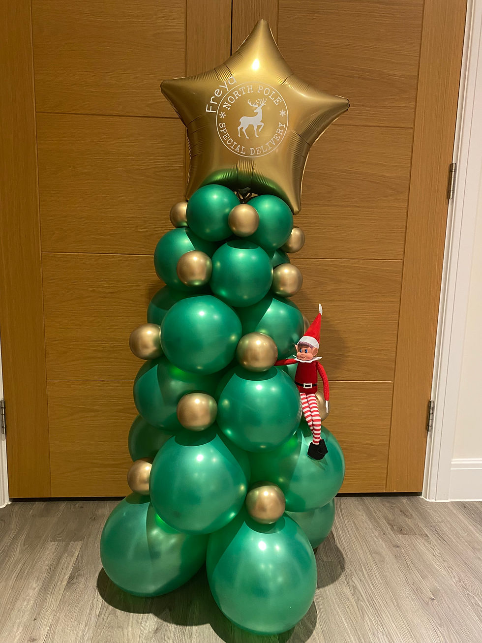 The Christmas Tree Elf Arrival!